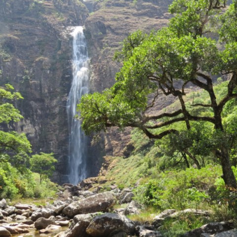 Cachoeira Casca Danta
