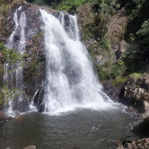 Cachoeira do Cerradão