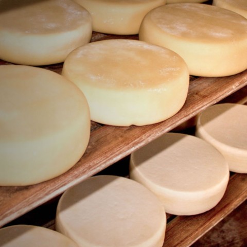 Roteiro nas melhores Fazendas de Queijo Canastra da Região