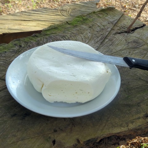 O Queijo Canastra fresco, famoso e premiado
