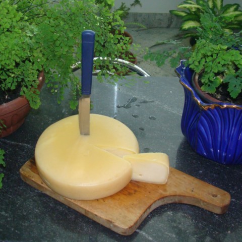 O Queijo Canastra, famoso e premiado